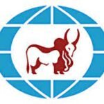 Induslnd Bank customer care number