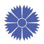 Belavia (B2)